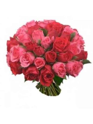 36 Pink and Red Rose Bunch / Bouquet  - Fresh Flowers Dubai