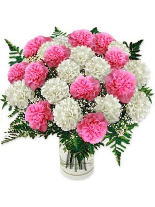 36 Pink N white Carnations in Glass Vase - Fresh Flowers Dubai