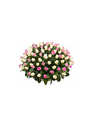 Basket of 100 Pink and White Roses - Fresh Flowers Dubai