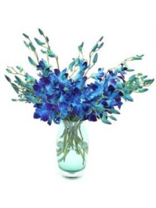 Blue Orchid In Vase 12 Stem of Flowers - Fresh Flowers Dubai