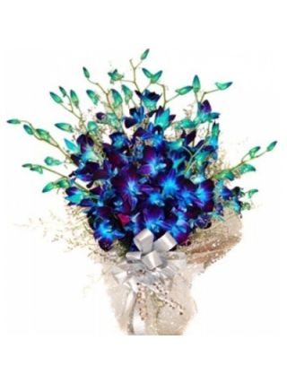 Blue Orchids Bunch 12 Stems - Fresh Flowers Dubai