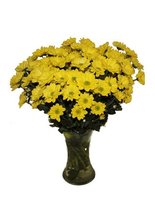 Chrysanthemums in Vase - Fresh Flowers Dubai