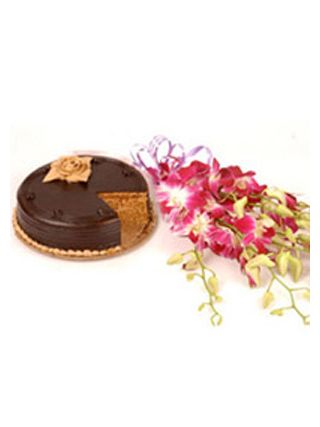 Exotic Orchids and Cake- 12 Orchids & Half KG Cake - Fresh Flowers Dubai