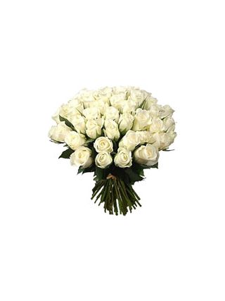 Fifty White Roses - Fresh Flowers Dubai