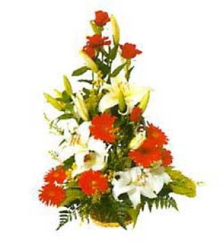 Fantasy - Fresh Flowers Dubai