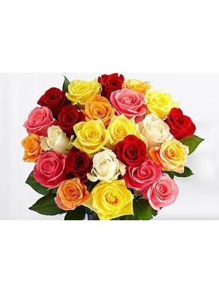 Magical Sunny Mixed Roses - Fresh Flowers Dubai