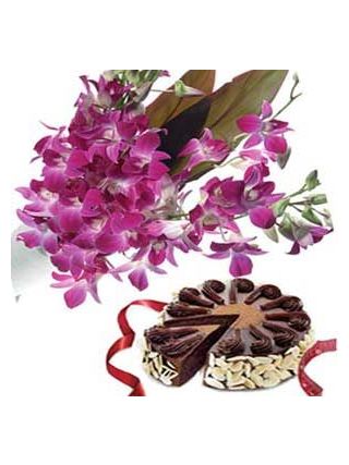 one Dozen  Purple Orchids & 1 Kg Chocolate Cake - Fresh Flowers Dubai