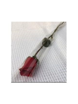 One Fresh Single Rose Flower  - Fresh Flowers Dubai