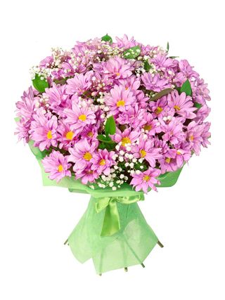 Pink Chrysanthemum Bouquet - Fresh Flowers Dubai