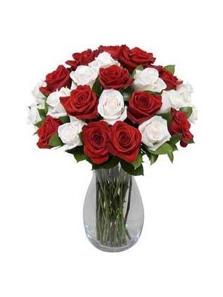 Red and White Roses in Vase 36 Blooms - Fresh Flowers Dubai