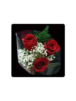 Trio - 3 Roses - Fresh Flowers Dubai