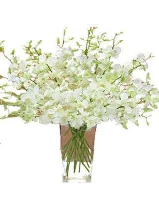 White Orchid Vase 6 Stem Of Flowers - Fresh Flowers Dubai