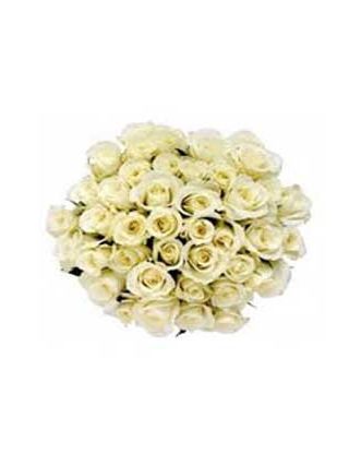 White Roses Bouquet 75 Flowers - Fresh Flowers Dubai