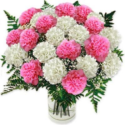 36 Pink N white Carnations in Glass Vase