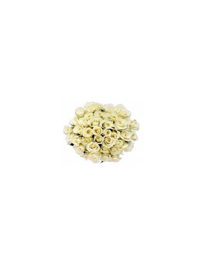 White Roses Bouquet 75 Flowers - Fresh Flowers Dubai