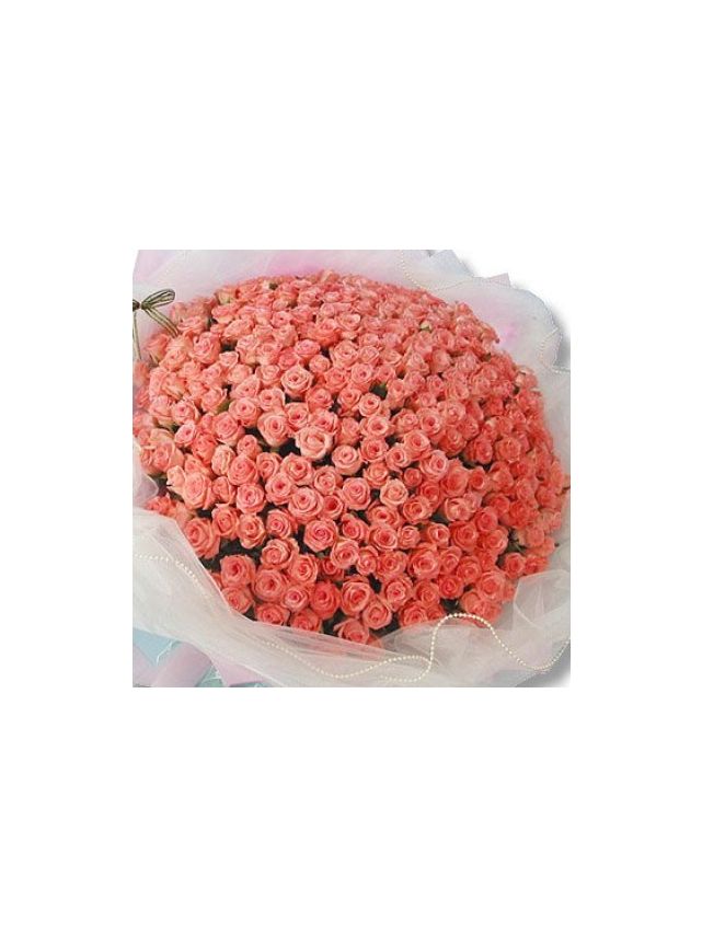 Pink Roses Bouquet 250 Flowers - Fresh Flowers Dubai