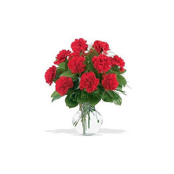 24 Red Carnations Vase