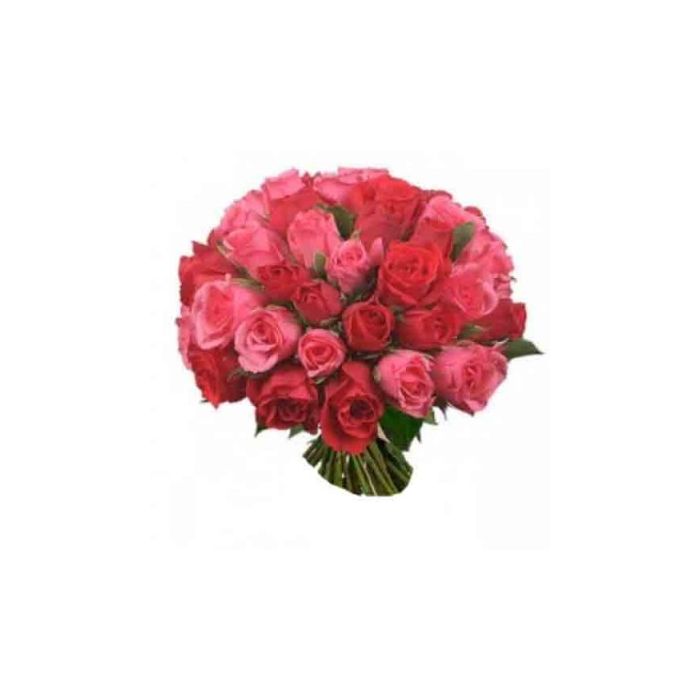 36 Pink and Red Rose Bunch / Bouquet 