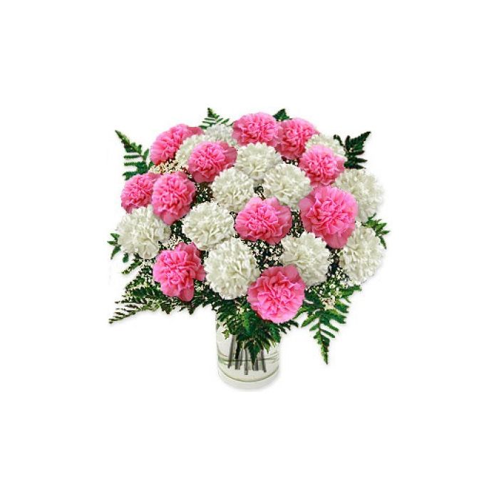 36 Pink N white Carnations in Glass Vase