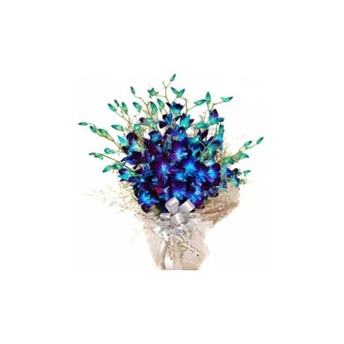 Bouquet Di Orchidee Blu 12 Steli