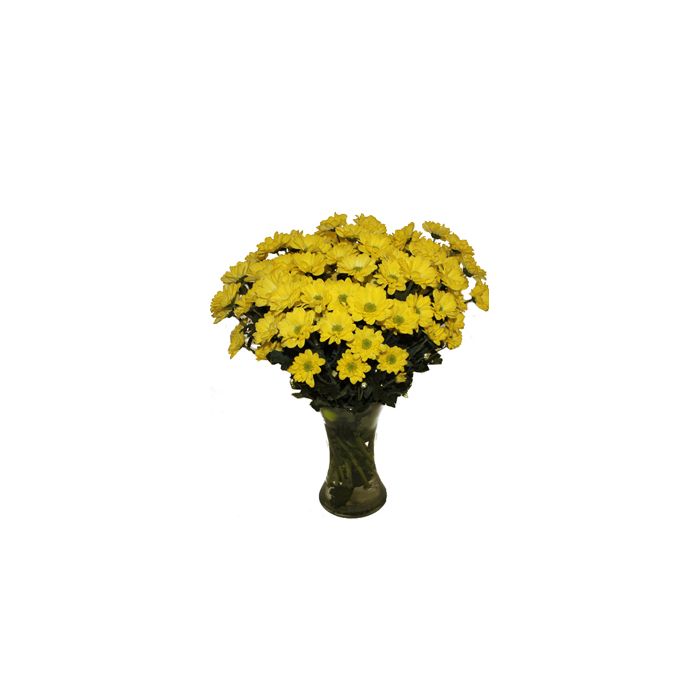 Chrysanthèmes dans un vase