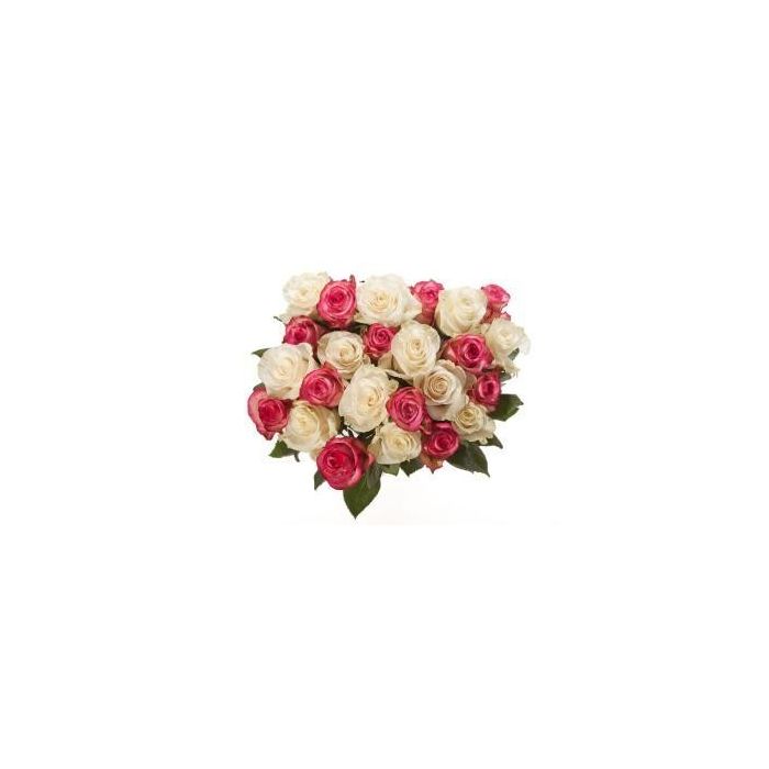 Pink And White Roses Bunch