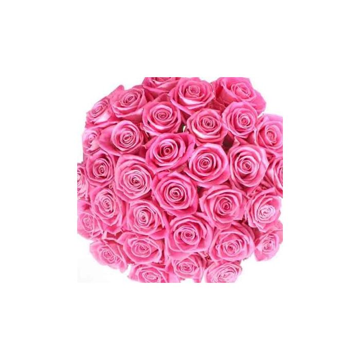 Pink Roses Bouquet 100 Flowers