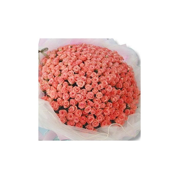 Pink Roses Bouquet 250 Flowers