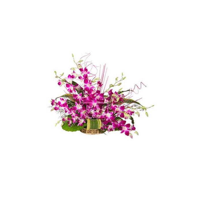 Purple Orchid Basket 24 Stem Of Flowers