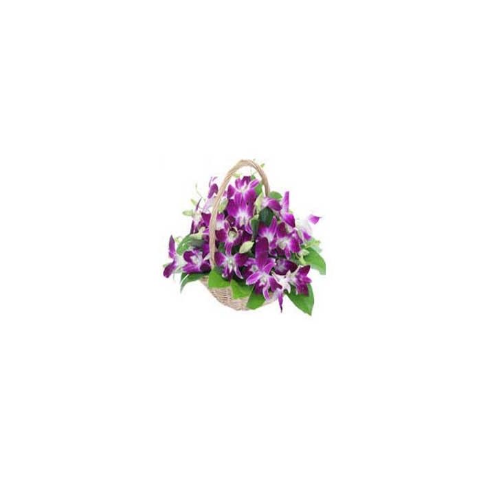 Purple Orchid in Basket 20 Pieces