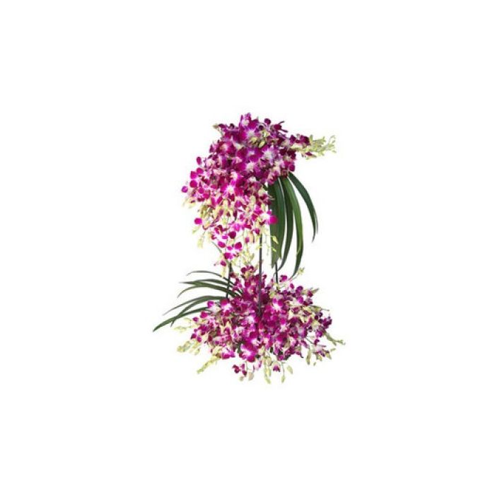 Purple Orchids Tall Arrangement 100 Stem 