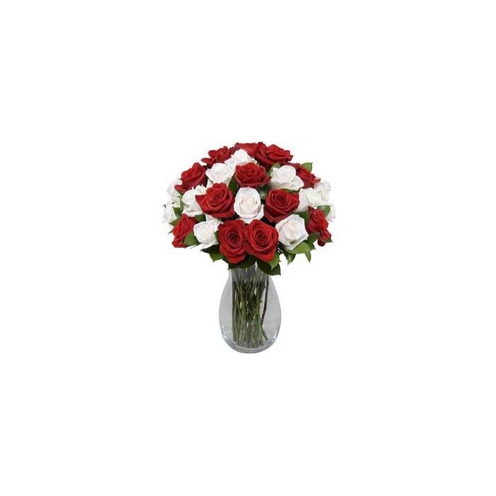 Rojo y blanco de la rosa en el florero de 36 florece