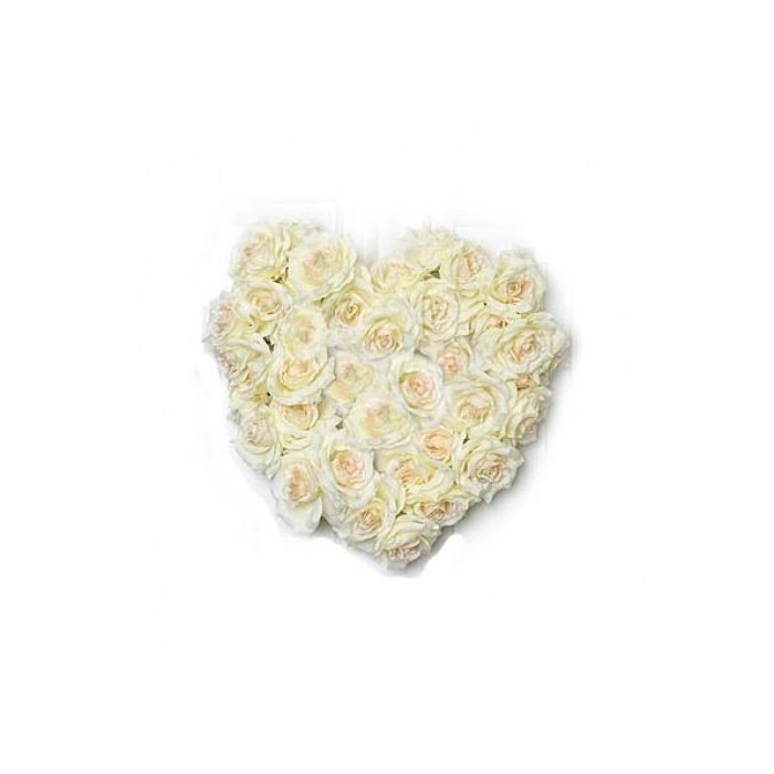 White Roses Heart 50 Flowers