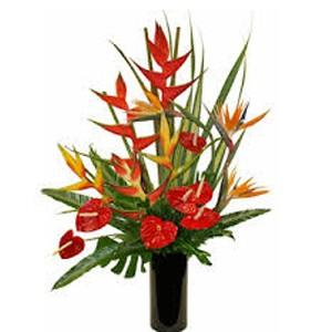 Anthurium And Bird Of Paradise in Vase 15 stems