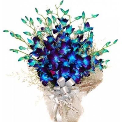 Blue Orchids Bunch 12 Stems