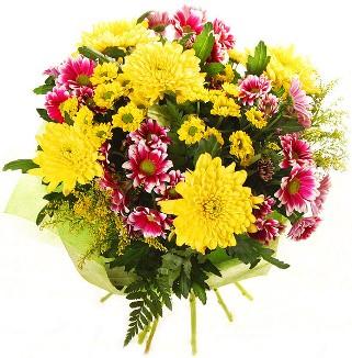 Bouquet De Chrysanthèmes