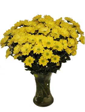 Chrysanthèmes dans un vase