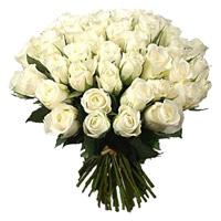 Fifty White Roses