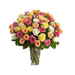 Mixed colour roses in Vase 75 flowers. 