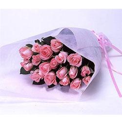 Nineteen pink roses 