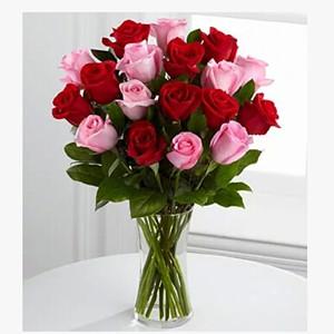 Pink and red roses in vase