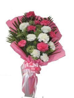 Pink and White carnations in Pink Packing