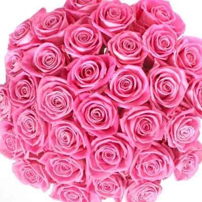 Pink Roses Bouquet 100 Flowers