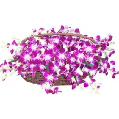 Purple Orchid Basket 12 Stem
