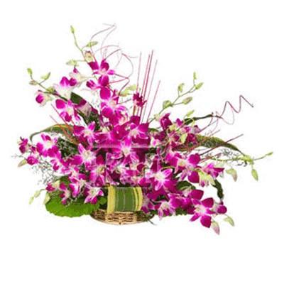 Purple Orchid Basket 24 Stem Of Flowers