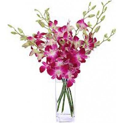 Purple Orchid In Vase 12 Stem of Flowers
