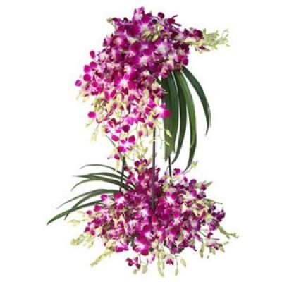 Purple Orchids Tall Arrangement 100 Stem 