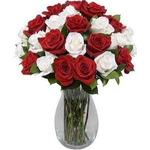 Rojo y blanco de la rosa en el florero de 36 florece