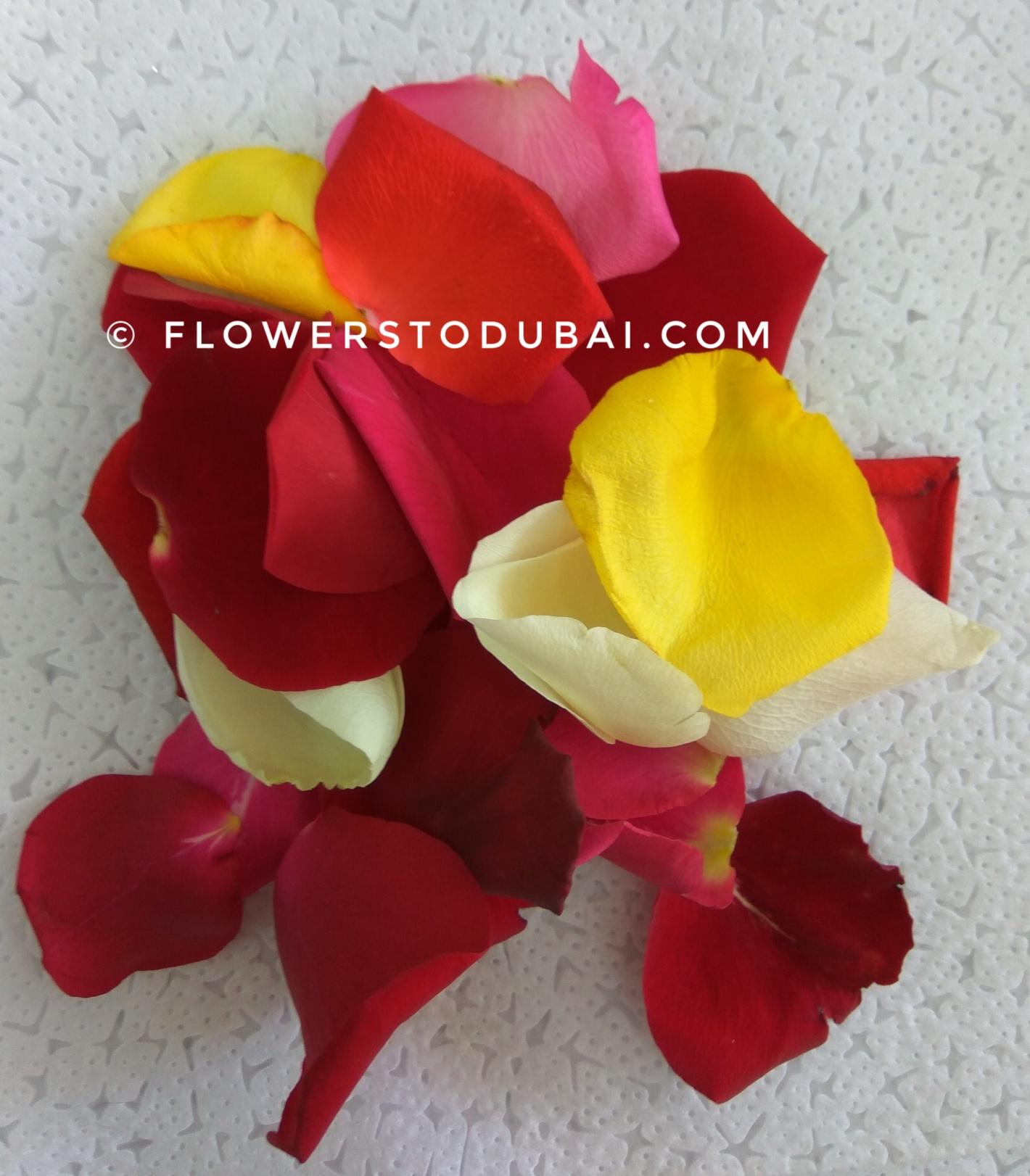 Rose Petals (mixed colours) Grade II 1KG