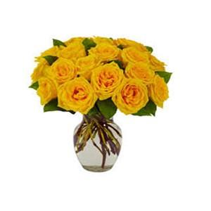 Three Dozen Yellow Roses In Vase